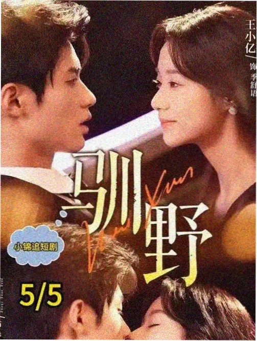 高清电视剧在线观看 热播